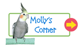 Molly's Corner